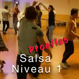 Proefles Salsa Niveau 1 vrijdag 4 sep 20:00