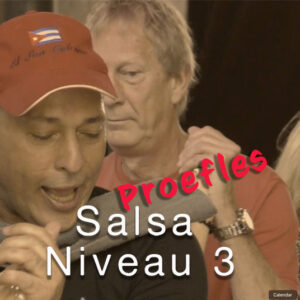 Proefles Salsa Niveau 3 woensdag 19 nov 19:00