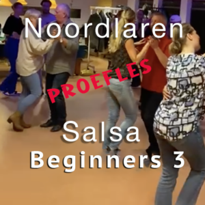 Proefles Salsa beginners 3 maandag 2 maart 19:00 (Noordlaren)
