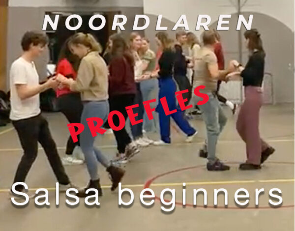 Proefles Salsa Beginners maandag 1 september 21:00 (Noordlaren)
