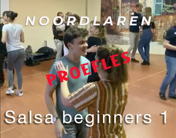 Proefles Salsa Beginners1 maandag 1 september 20:00 (Noordlaren)
