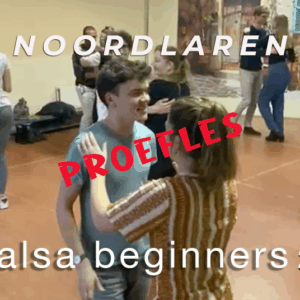 Proefles Salsa Beginners2 maandag 24 november 20:00 (Noordlaren)